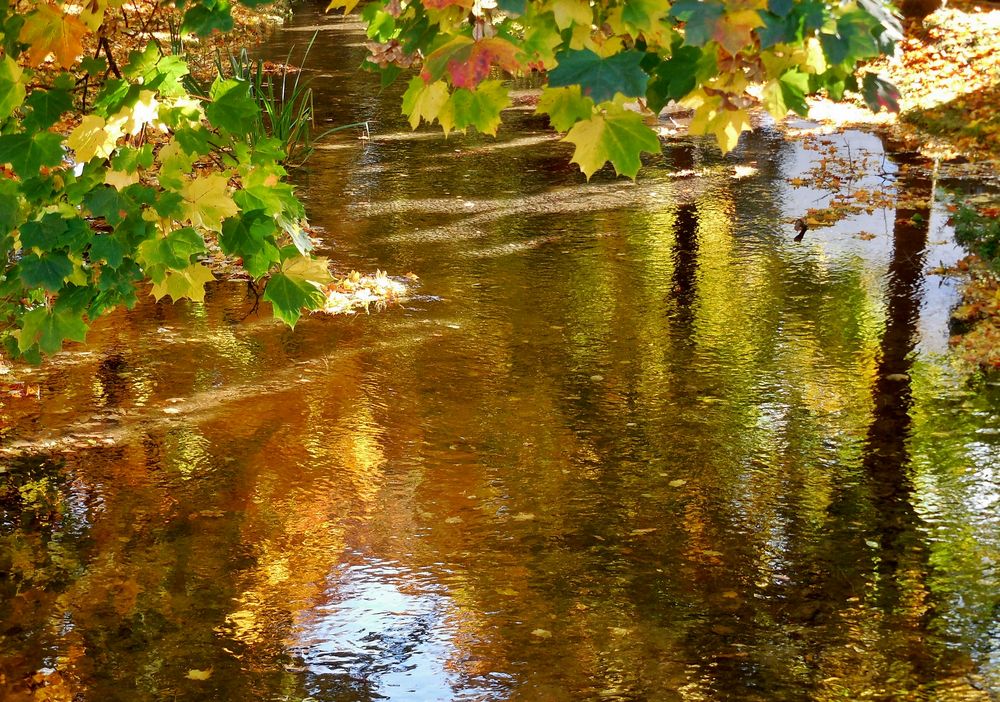 Goldener Oktober