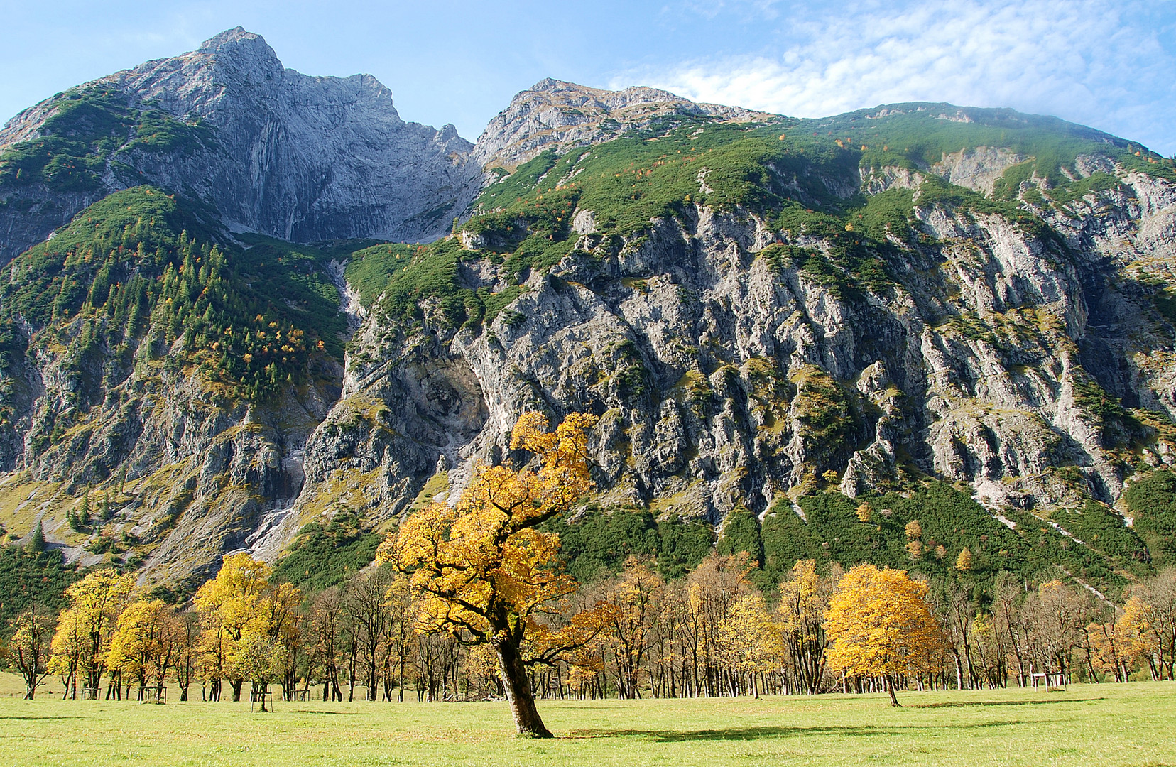 goldener oktober