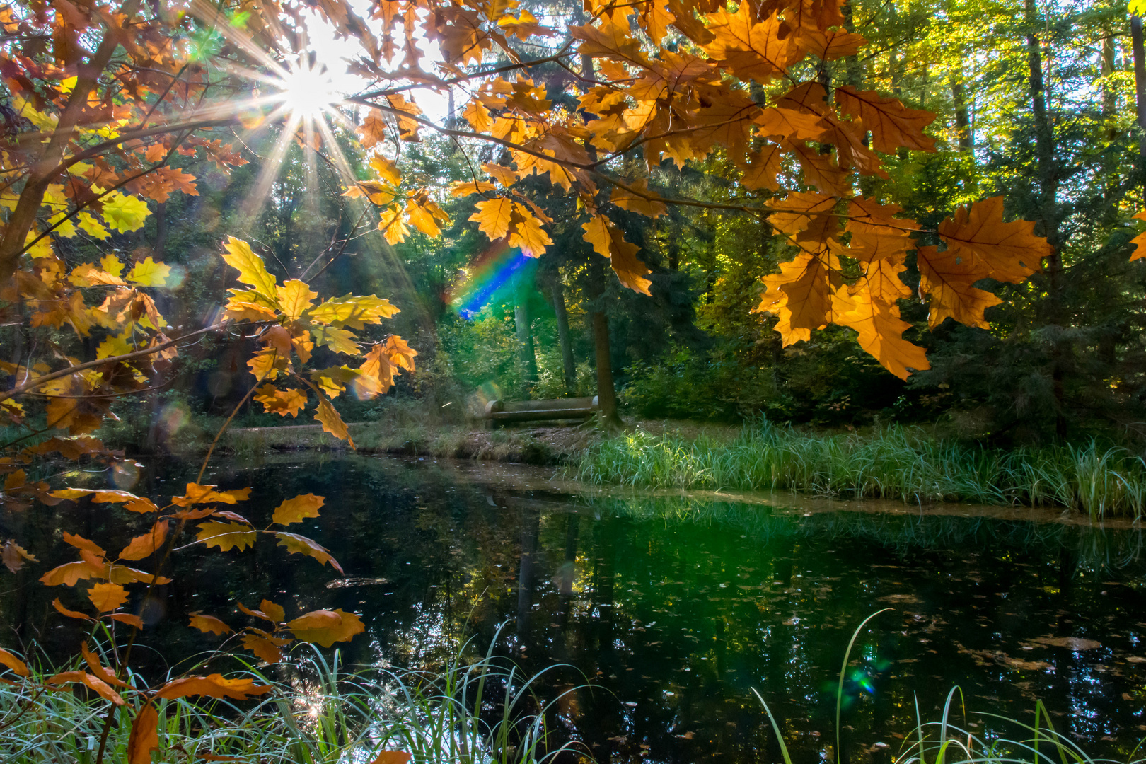 goldener Oktober