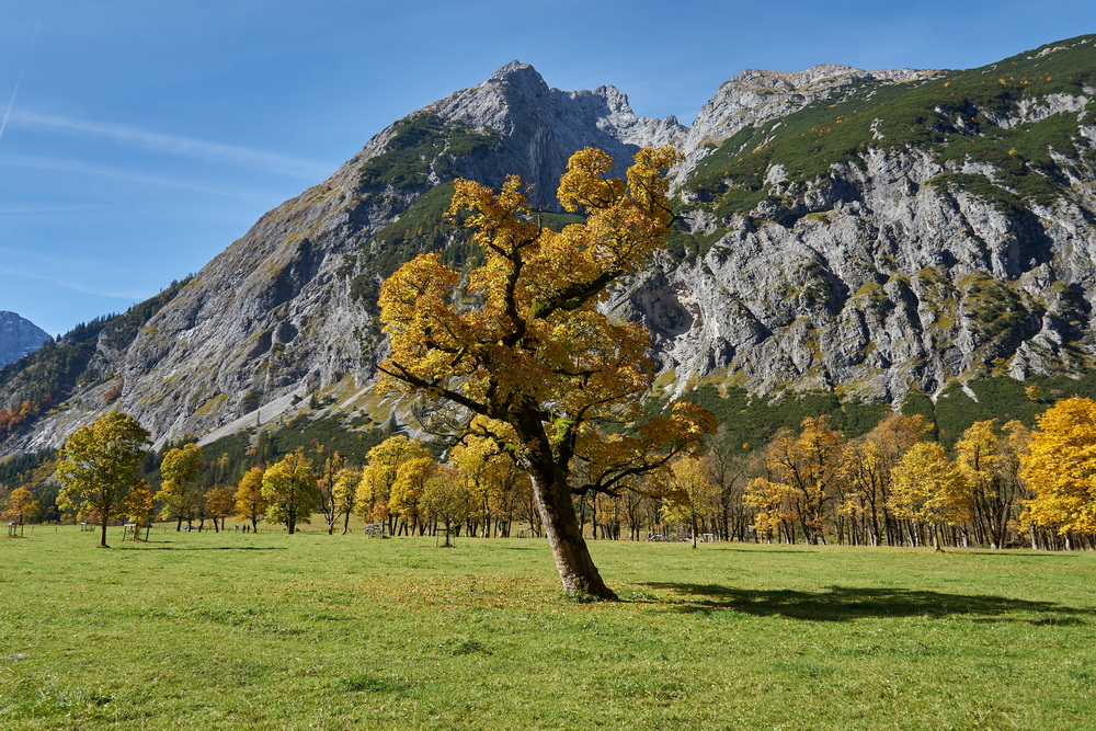 Goldener Oktober am Ahornboden