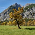 Goldener Oktober am Ahornboden