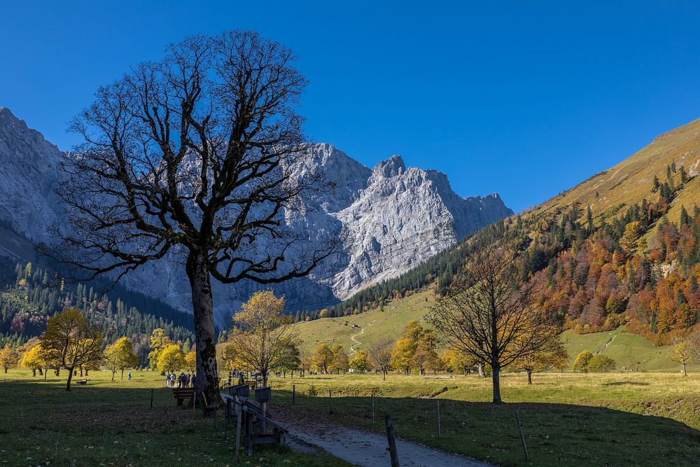 Goldener Oktober am Ahornboden