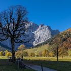 Goldener Oktober am Ahornboden