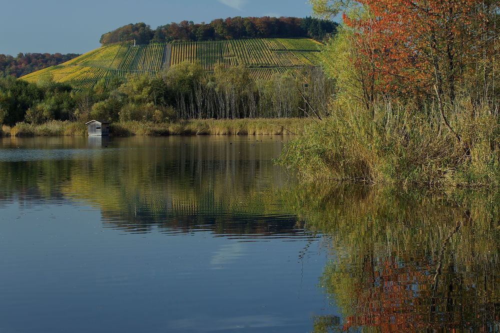 goldener-Oktober-am-Baggersee