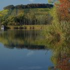 goldener-Oktober-am-Baggersee