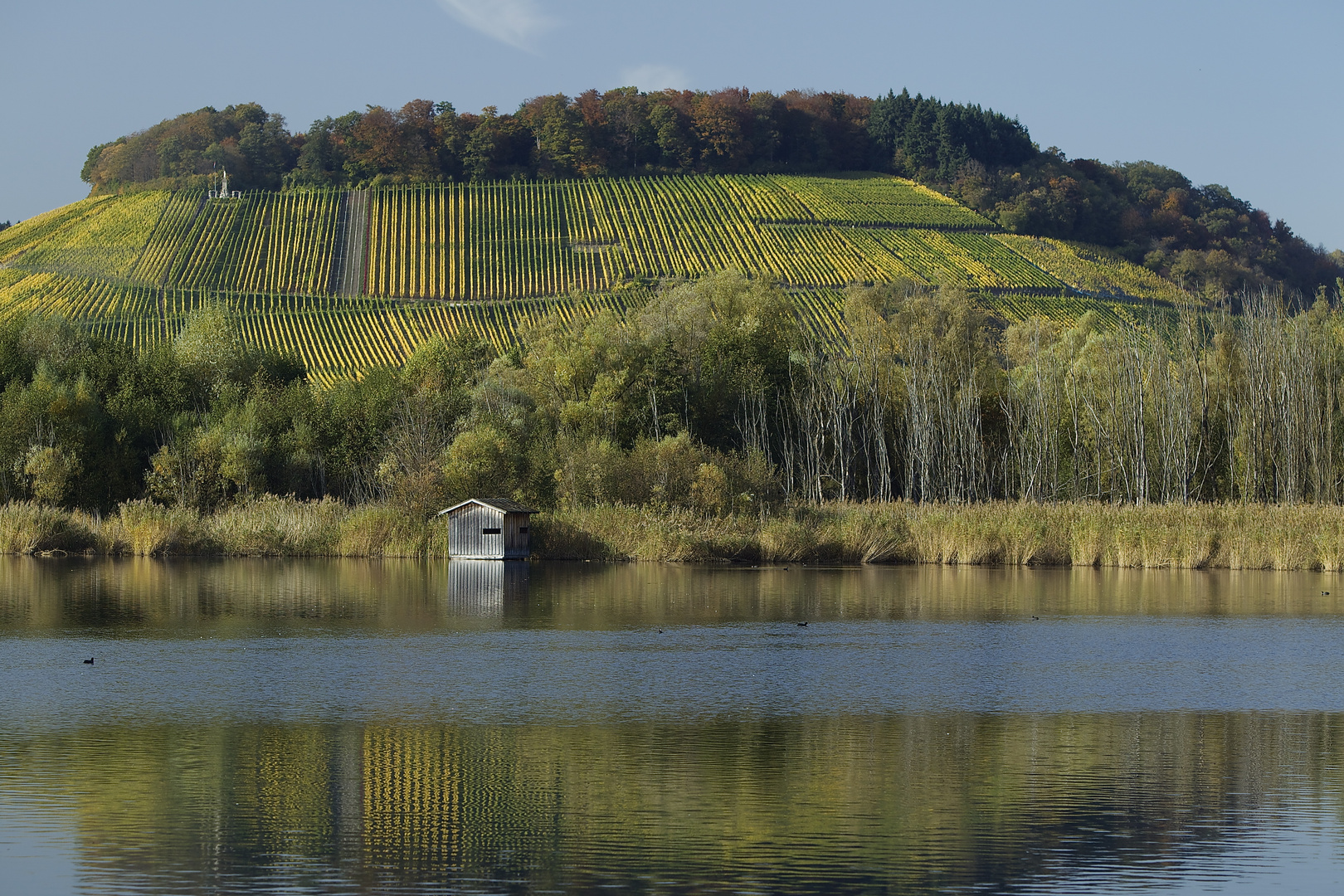 goldener Oktober am Baggersee