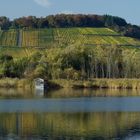 goldener Oktober am Baggersee