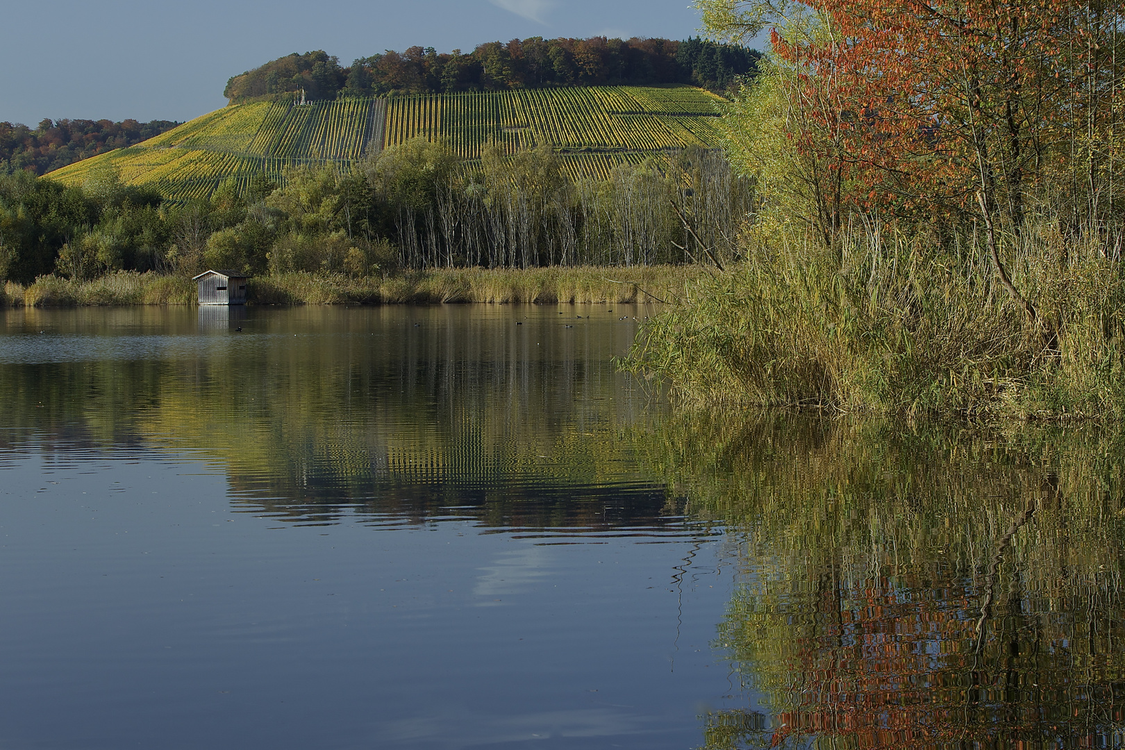 goldener Oktober am Baggersee II