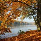 Goldener Oktober am Baldeneysee