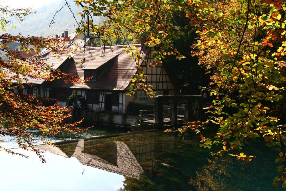 Goldener Oktober am Blautopf