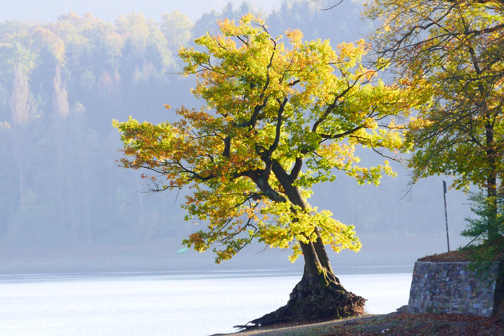 Goldener Oktober am Edersee