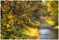 Goldener Oktober am Hamme Oste Kanal