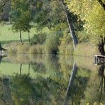 Goldener Oktober am Meerfelder Maar/Eifel