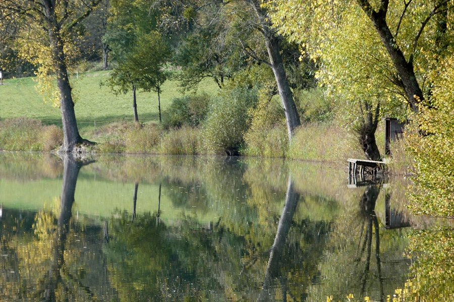 Goldener Oktober am Meerfelder Maar/Eifel