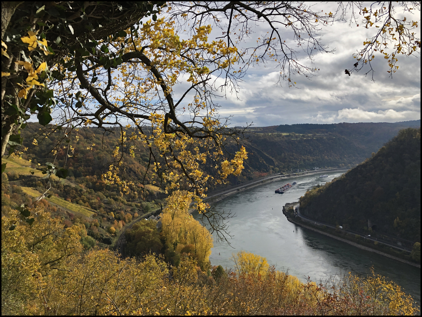 Goldener Oktober am Mittelrhein