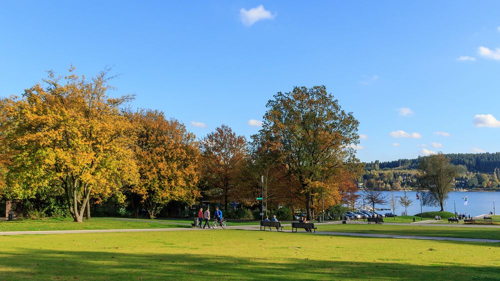 Goldener Oktober am Möhnesee 1