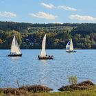 Goldener Oktober am Möhnesee 4