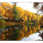 Goldener Oktober am Neckar in Heilbronn