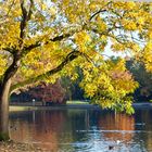 Goldener Oktober am Niederrhein -
