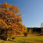 Goldener Oktober am Ostersee