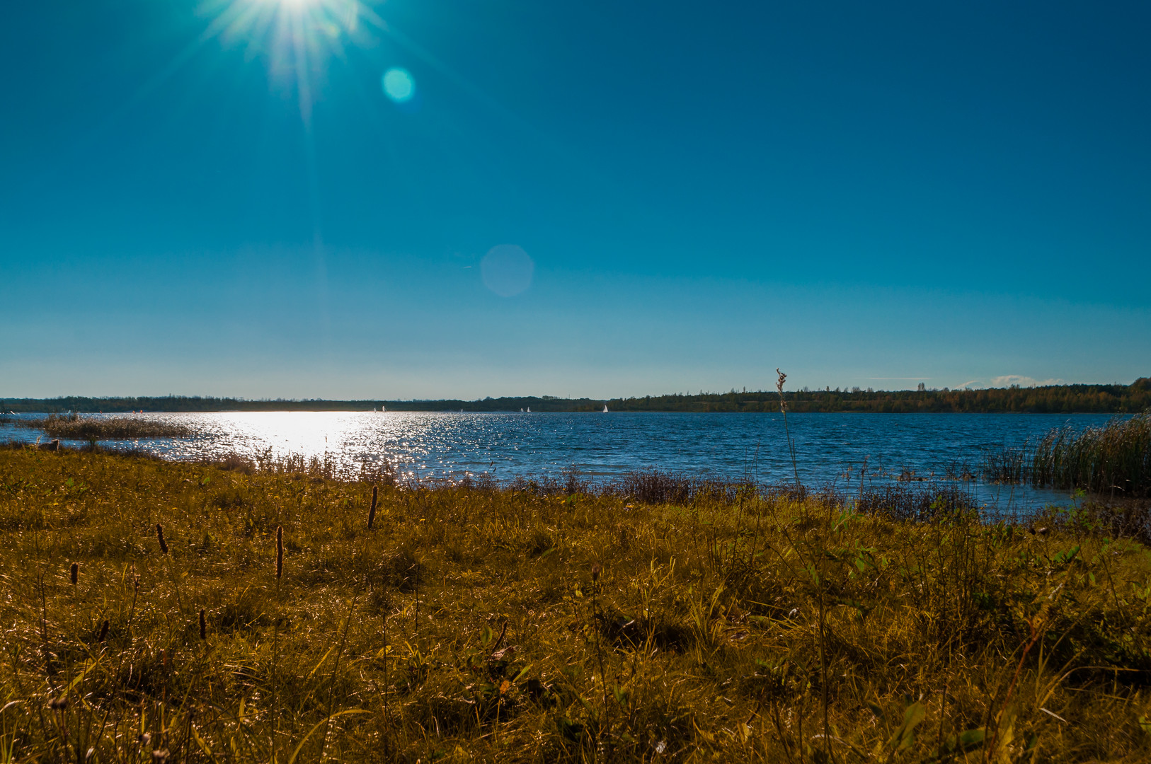 Goldener Oktober am Schladitzer See