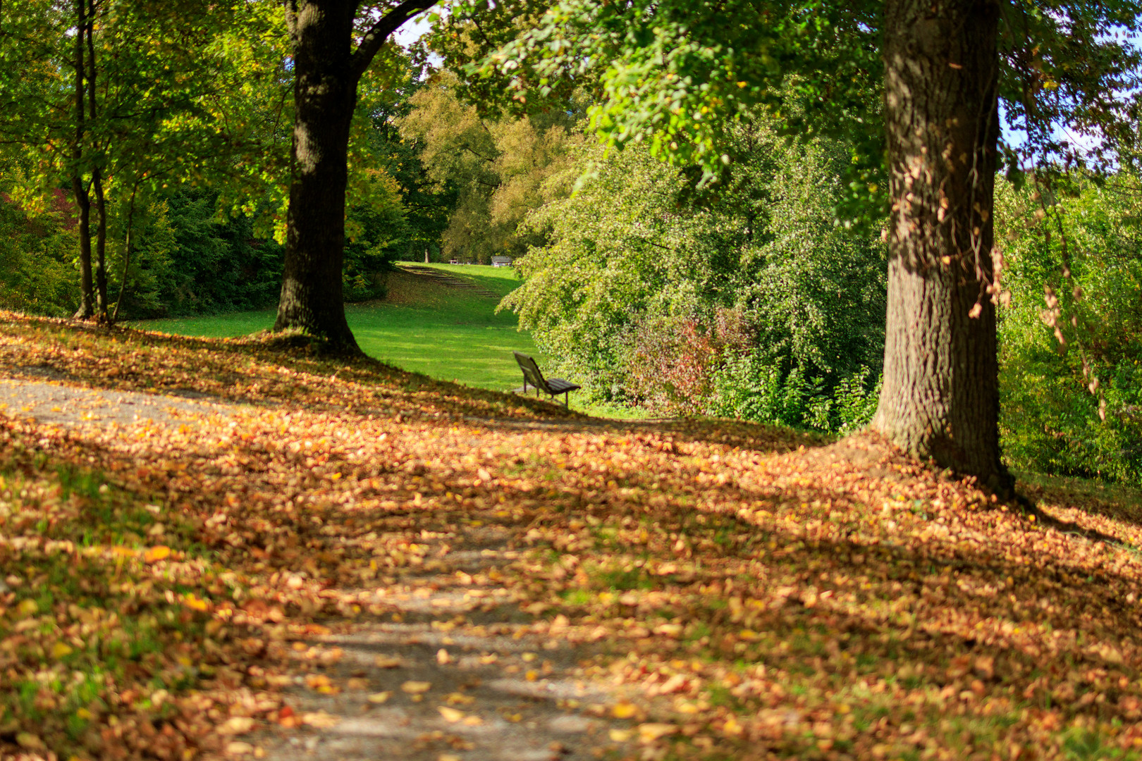 Goldener Oktober am Schlosswiesensee