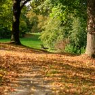 Goldener Oktober am Schlosswiesensee