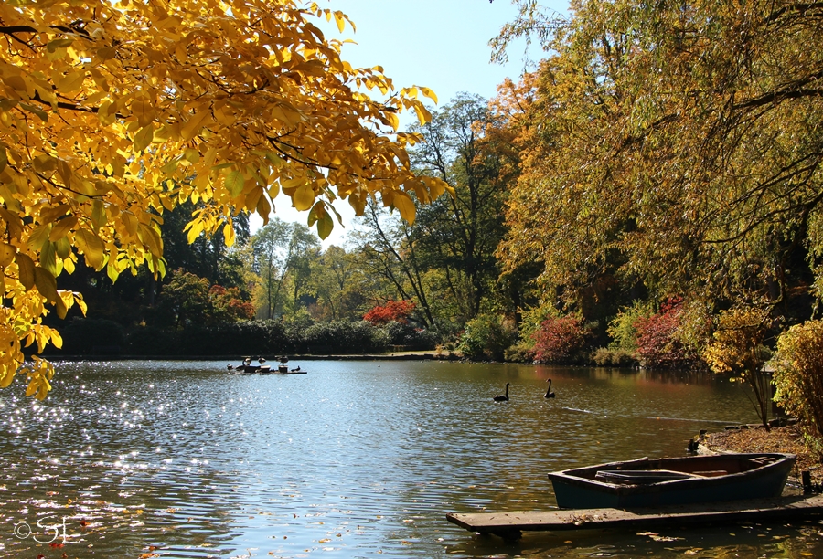 Goldener Oktober am See