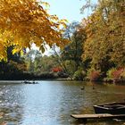 Goldener Oktober am See