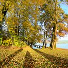 goldener Oktober am See 2