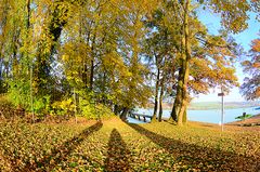 goldener Oktober am See 2