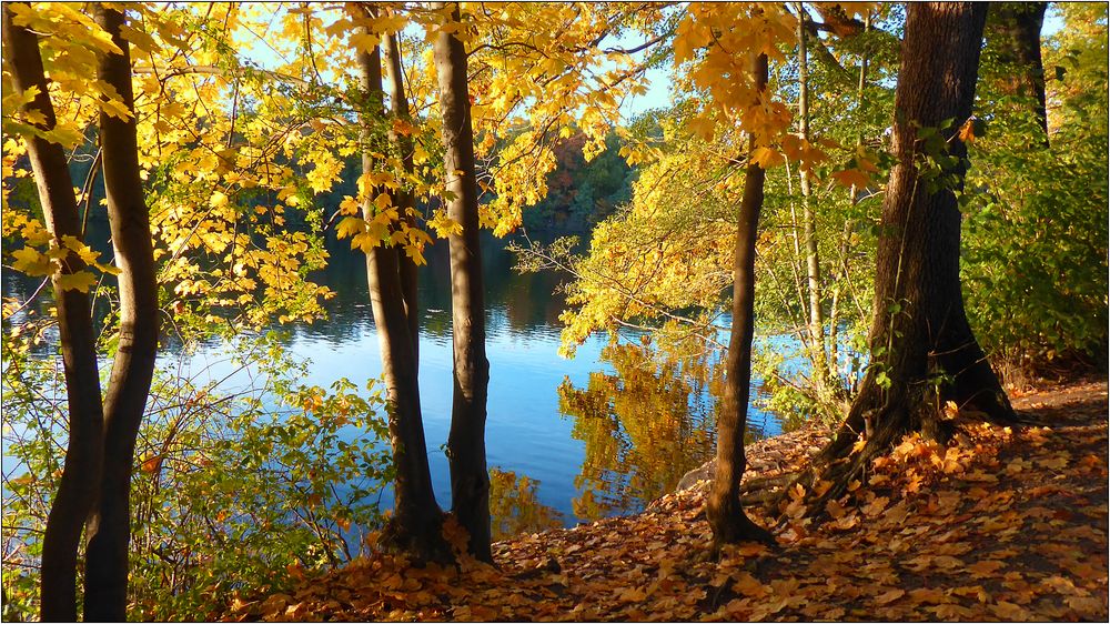 Goldener Oktober am See.