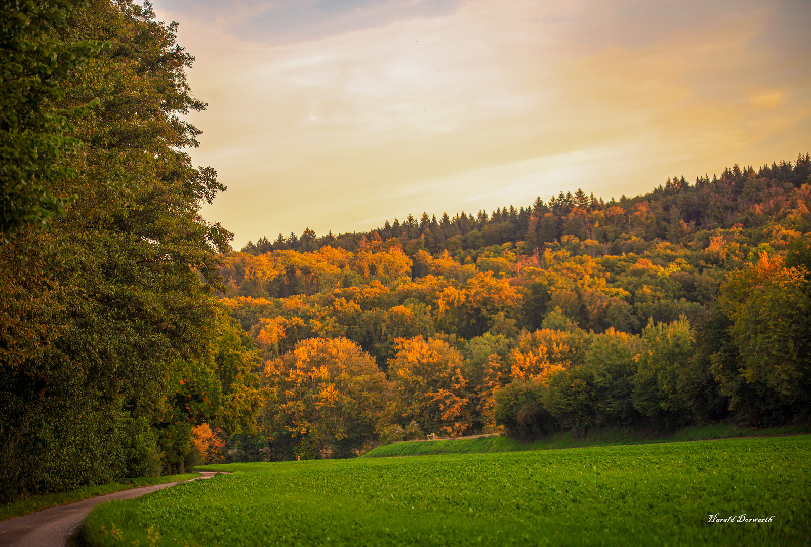 Goldener Oktober am Speitelsbach