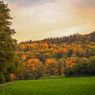 Goldener Oktober am Speitelsbach