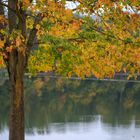 Goldener Oktober am Stausee Ehmetsklinge