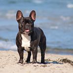 Goldener Oktober am Strand