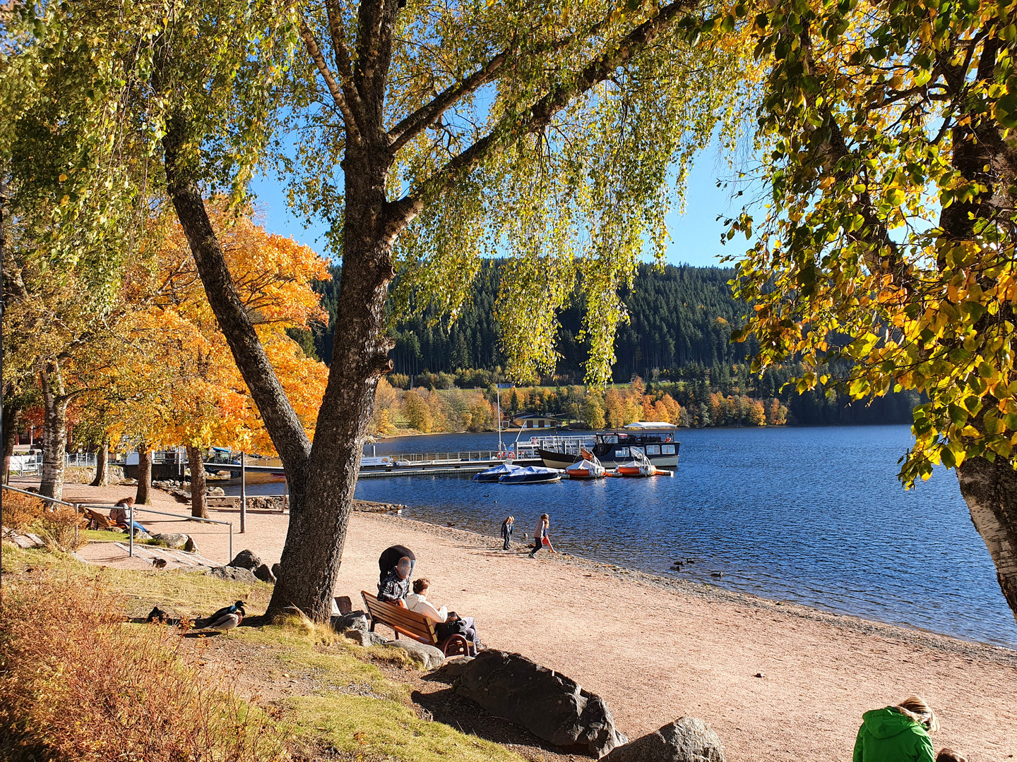 "Goldener Oktober am Titisee"