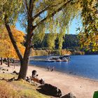 "Goldener Oktober am Titisee"