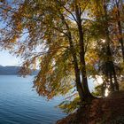 Goldener Oktober am Walchensee