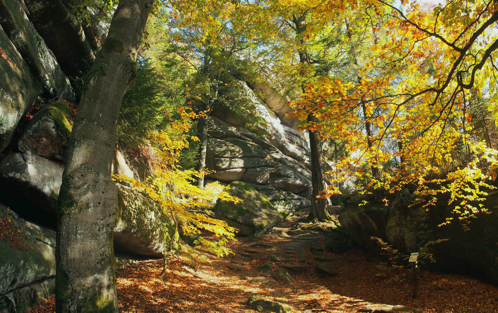 Goldener Oktober am Waldstein