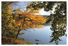 Goldener Oktober am Weiher