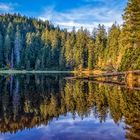 Goldener Oktober am Wildsee....