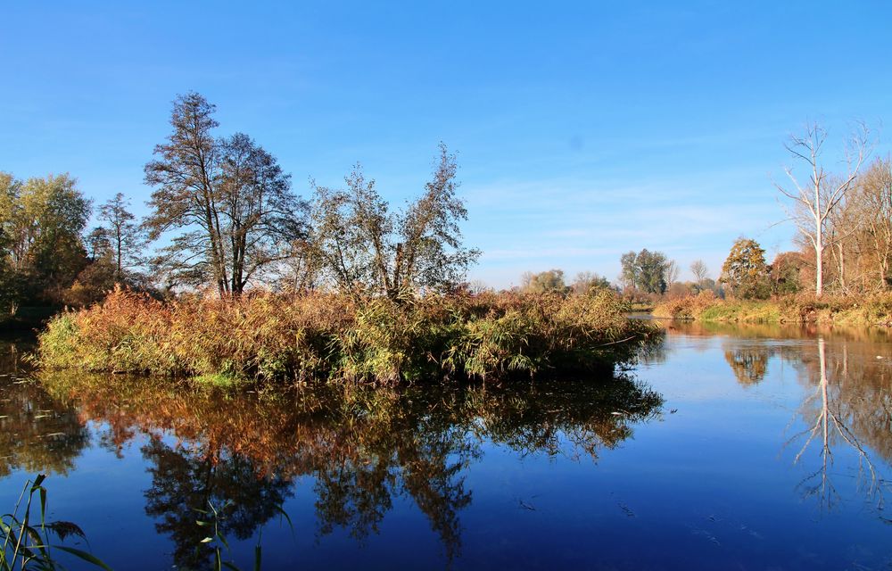 Goldener Oktober an der Amper