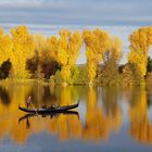 Goldener Oktober an der Buger Spitze