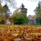 Goldener Oktober an der Heilanstalt Tannenfeld 