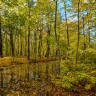 Goldener Oktober an der Kuhlake in Spandau