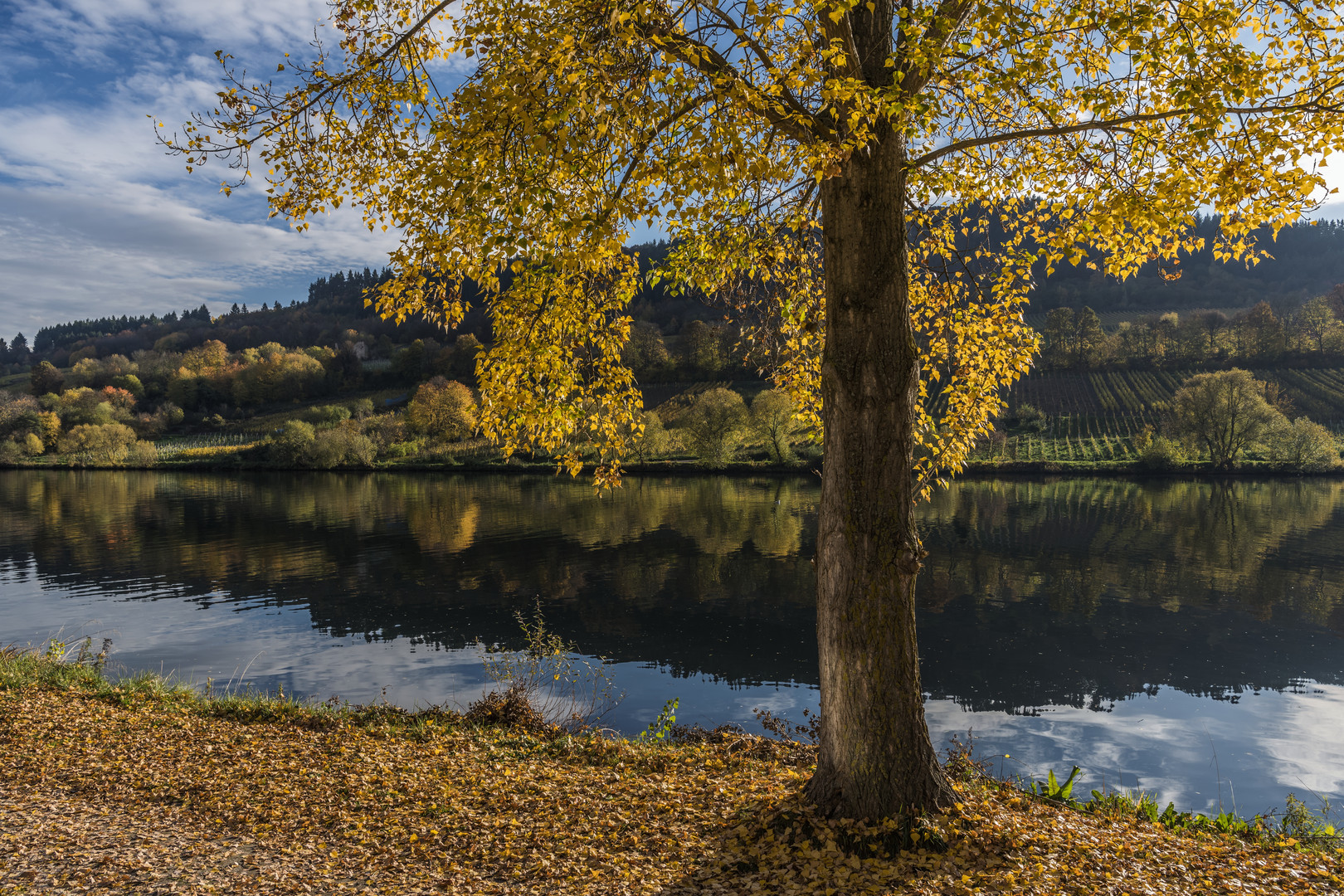 *Goldener Oktober an der Mittelmosel*