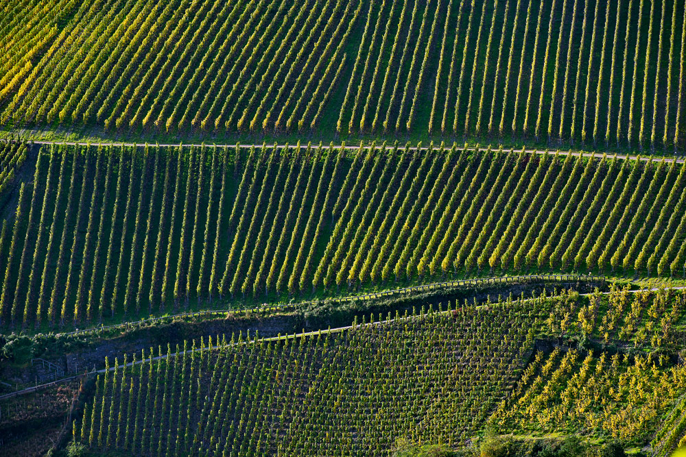 Goldener Oktober an der Mosel