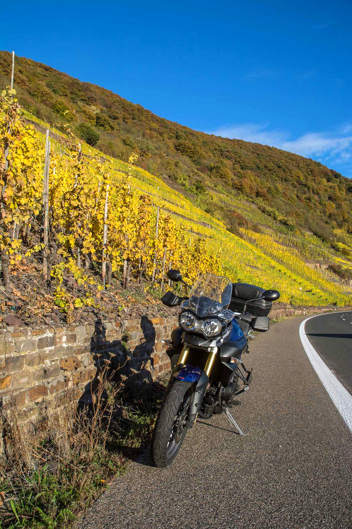 Goldener Oktober an der Mosel