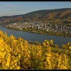 Goldener Oktober an der Mosel